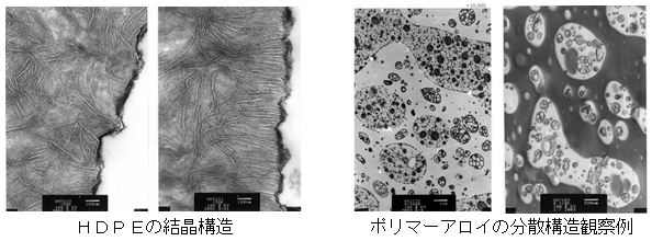 ＨＤＰＥの結晶構造・ポリマーアロイの分散構造観察例