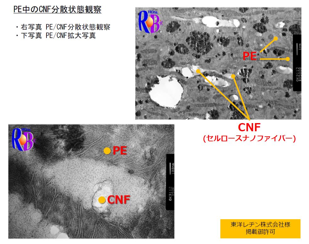 PE中のCNFの分散状態観察